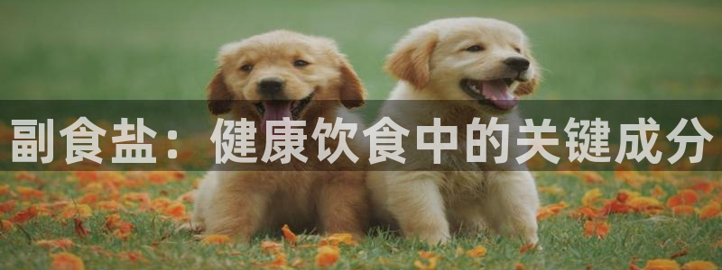 威九国际游戏app网址