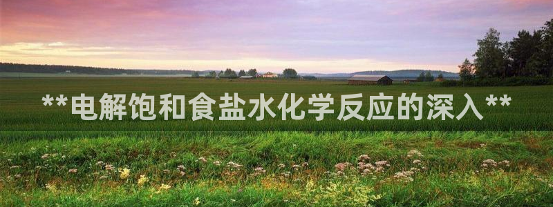威九国际8ⅹ8x