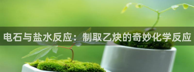78m.ppt威九国际官网版