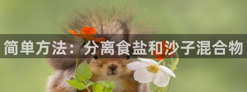 威九国际网站更新
