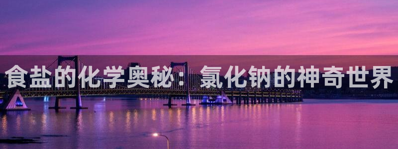 保定威九网络科技有限公司