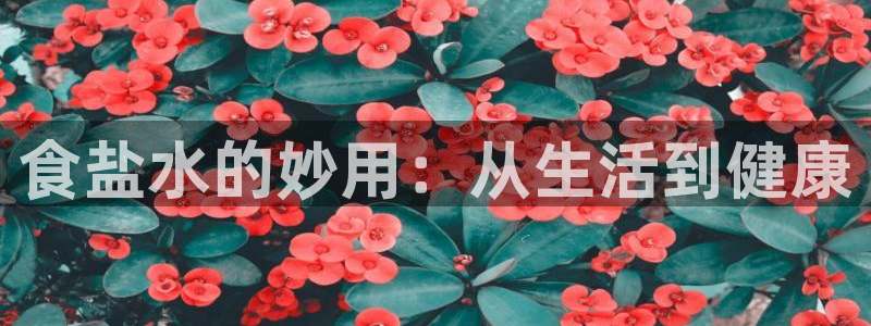 威九国际网站进入产品中心怎么进