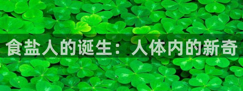 威九国际网站是多少