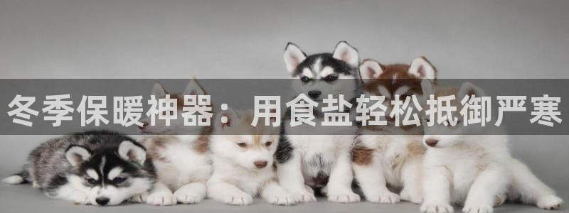 威九国际留学