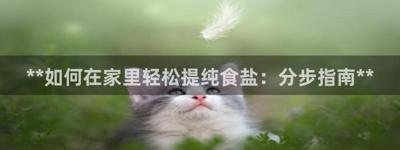 威九国际客服电话