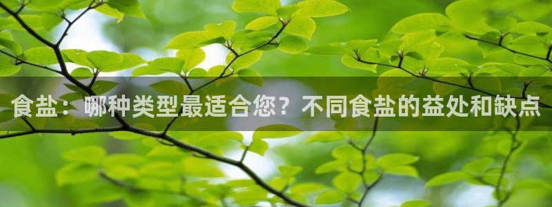 威九国际A