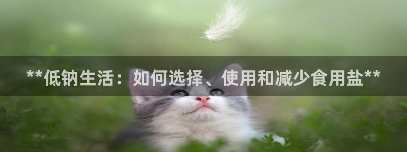 威九国际78mB官网版