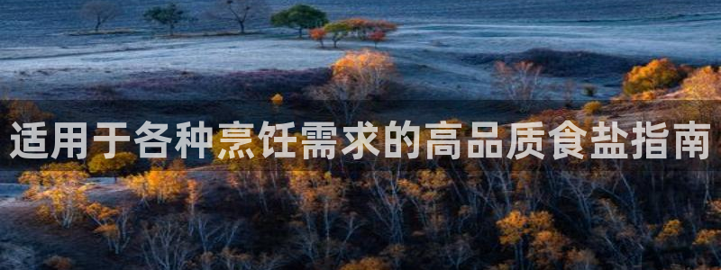 威九国际app网站安全吗