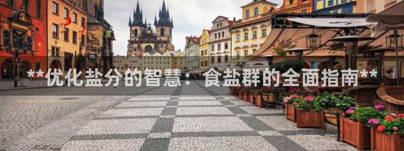 威九国际的金融服务有哪些