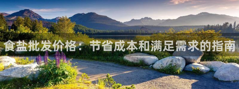 威九国际Info
