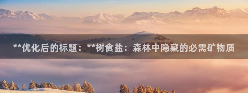 威九国际Info