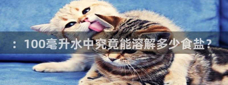 威九cp