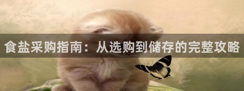 威九国际网站是多少