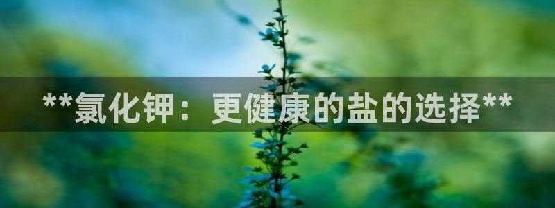 威九国际v8