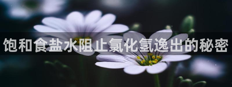 威九国际APP入口