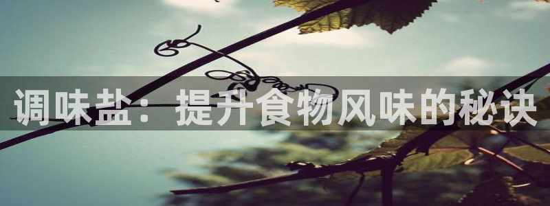 威九国际电子游戏