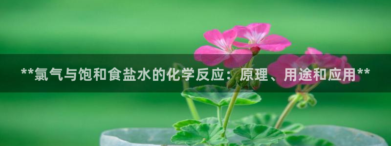 威九国际新