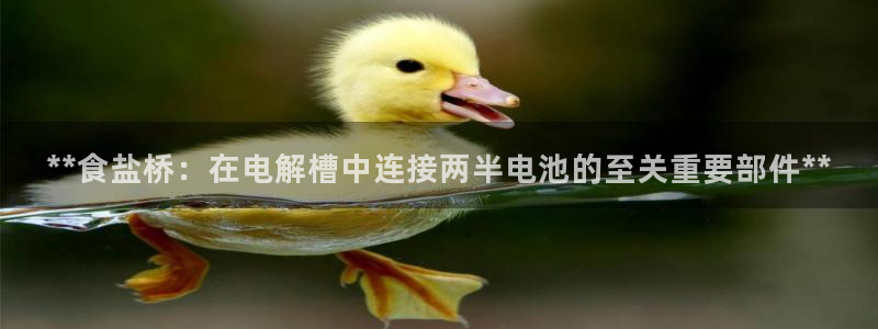 威九国际网站