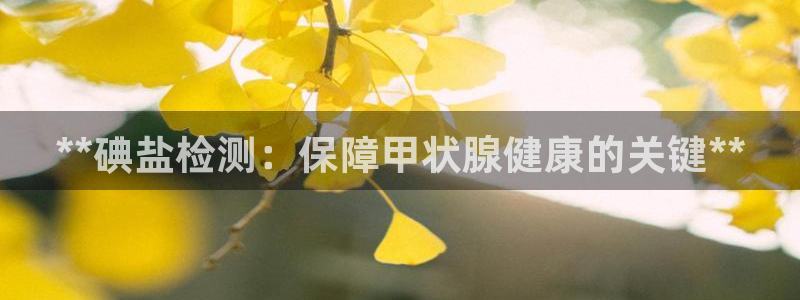 威九国际替好友去