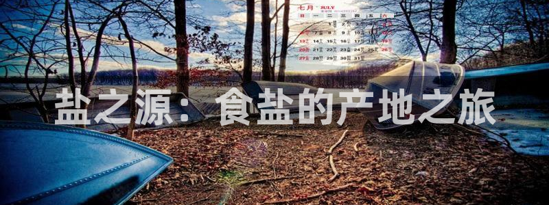 威九国际app大全下载安装