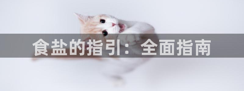 威九国际app网站官网