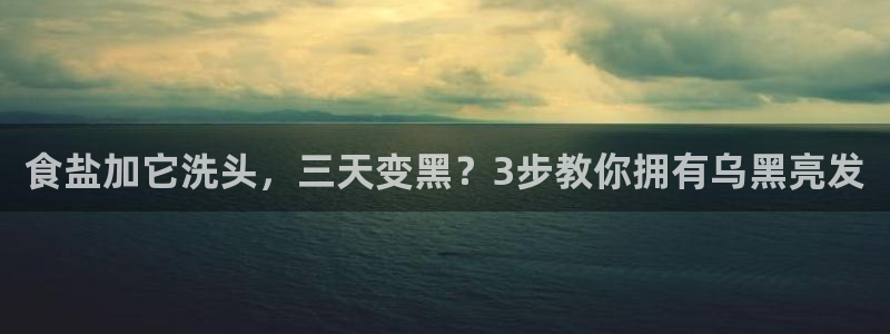 保定威九网络科技有限公司电话