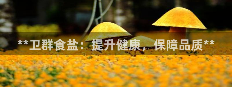 威九国际APP