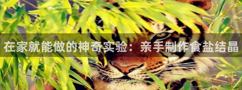 威九国际78ma