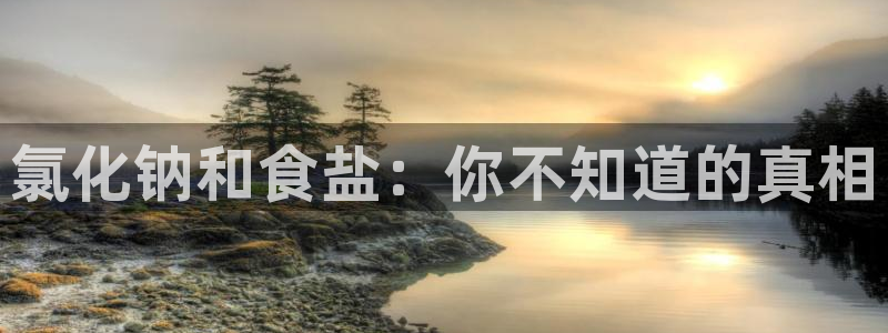 威九国际在哪里