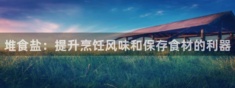威九国际空降服务怎么样