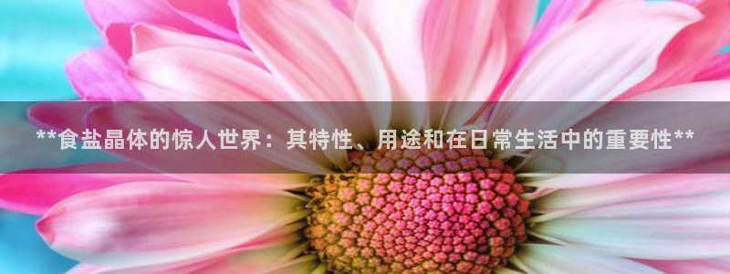 威九国际的金融服务有哪些