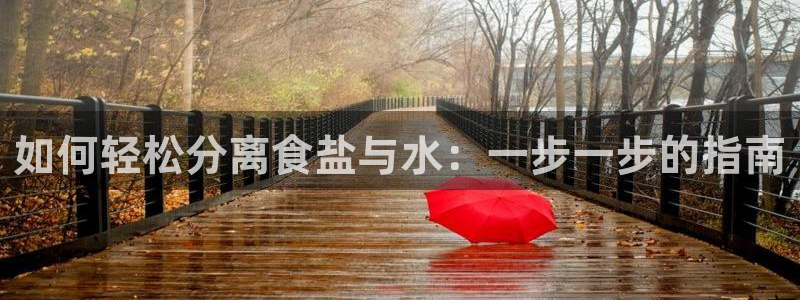 威九国际的女主