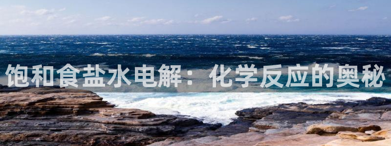威九国际的女主