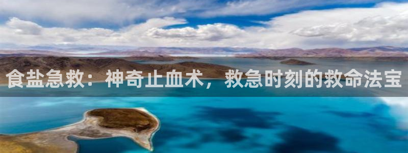 威九国际空降服务怎么样