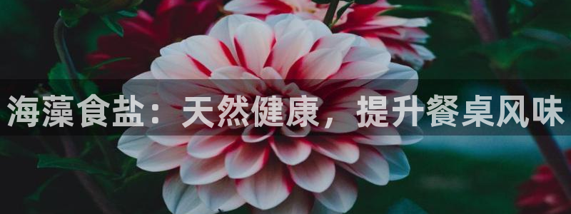 威九国际安全吗的认证团队