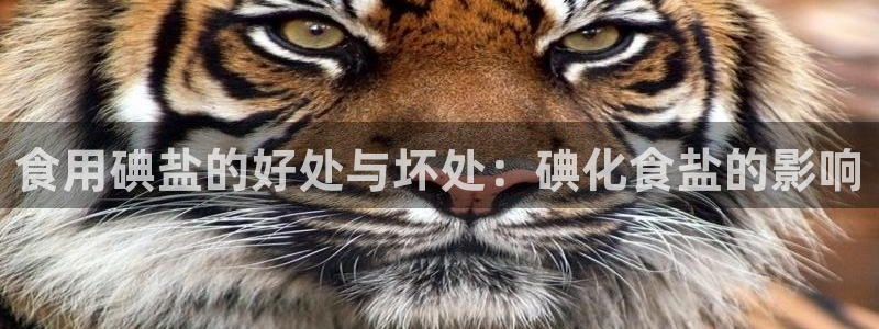 威九国际网站更新了吗
