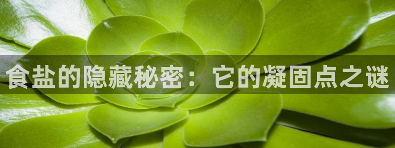 威九国际网站游戏