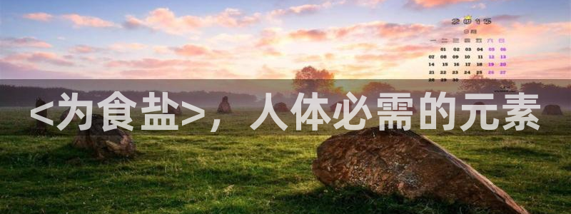 66m威九国际精选