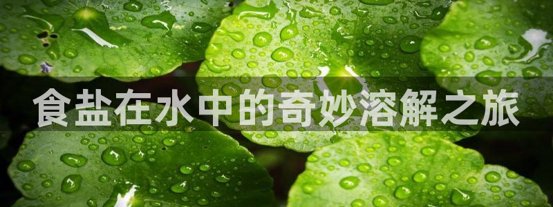威九国际APP下载