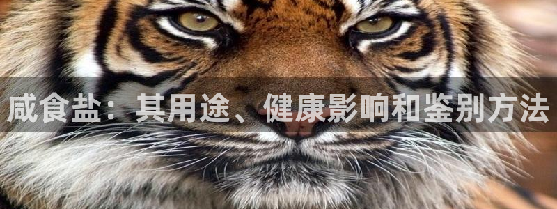 威九国际网站安全吗可靠吗