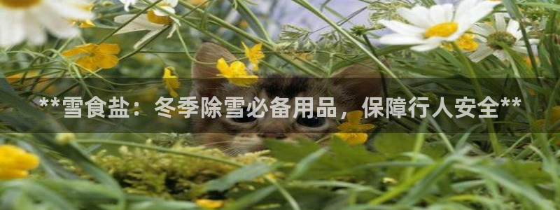 78mapp威九国际官网