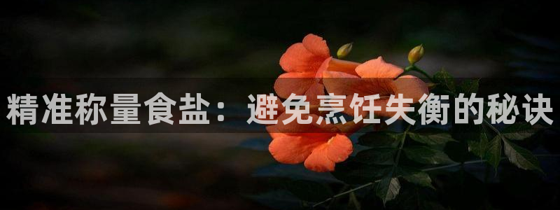 威九国际网站是多少