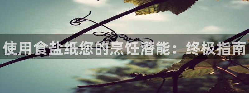 威九国际网页看视频弹窗的广告拦截插件
