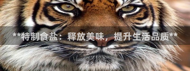 威九国际78mb特点