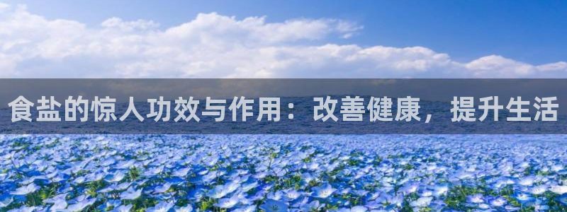 威九国际免费ppt网址