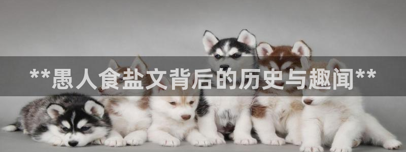 威九国际电影HD