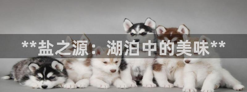 66m威九国际精选