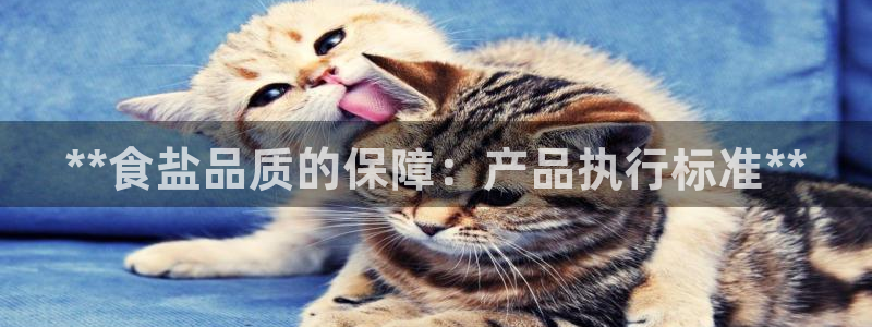 威九国际78mob官网版