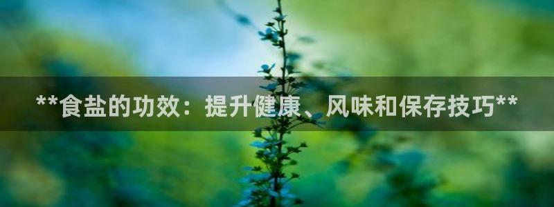 威九国际电视怎么样