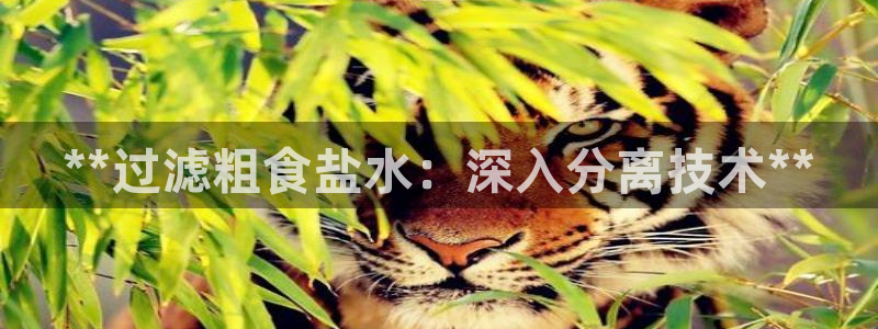 威九国际体育app下载